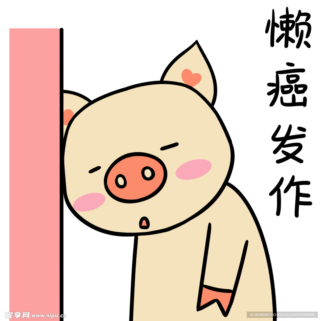 猪可可