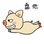 猪可可
