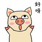 猪可可