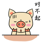 猪可可