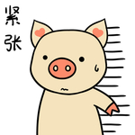 猪可可