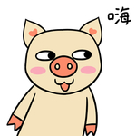 猪可可