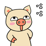 猪可可