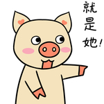 猪可可