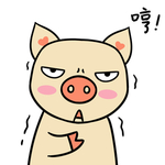 猪可可