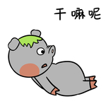 猪顺利