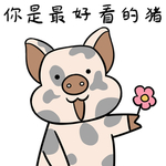 猪四