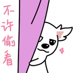 哈公主