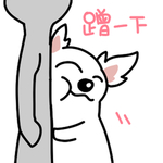 哈公主