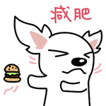 哈公主