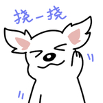 哈公主