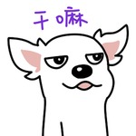 哈公主