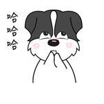 哈京京