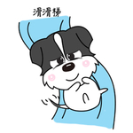 哈京京