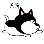 哈小忧