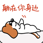 哈早早