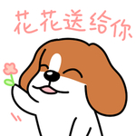 哈早早