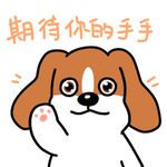 哈早早