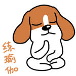 哈早早
