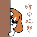 哈早早