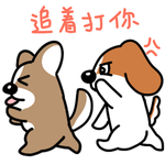 哈早早