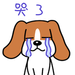 哈早早