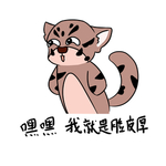 虎兴兴