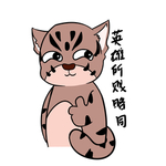虎兴兴
