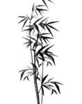 水墨竹子