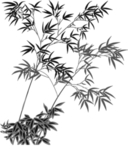 水墨竹子