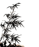 水墨竹子