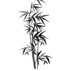 水墨竹子