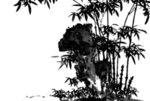 水墨竹子