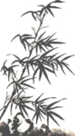 水墨竹子
