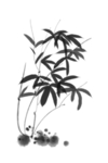 水墨竹子