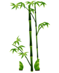 水墨竹子