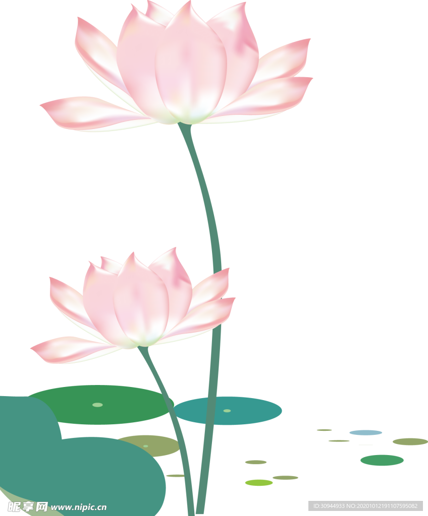 荷花元素