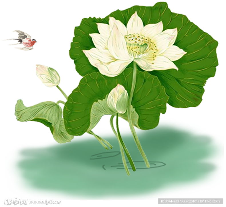 荷花元素