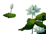 荷花元素