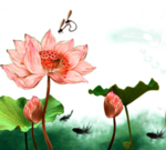 荷花元素