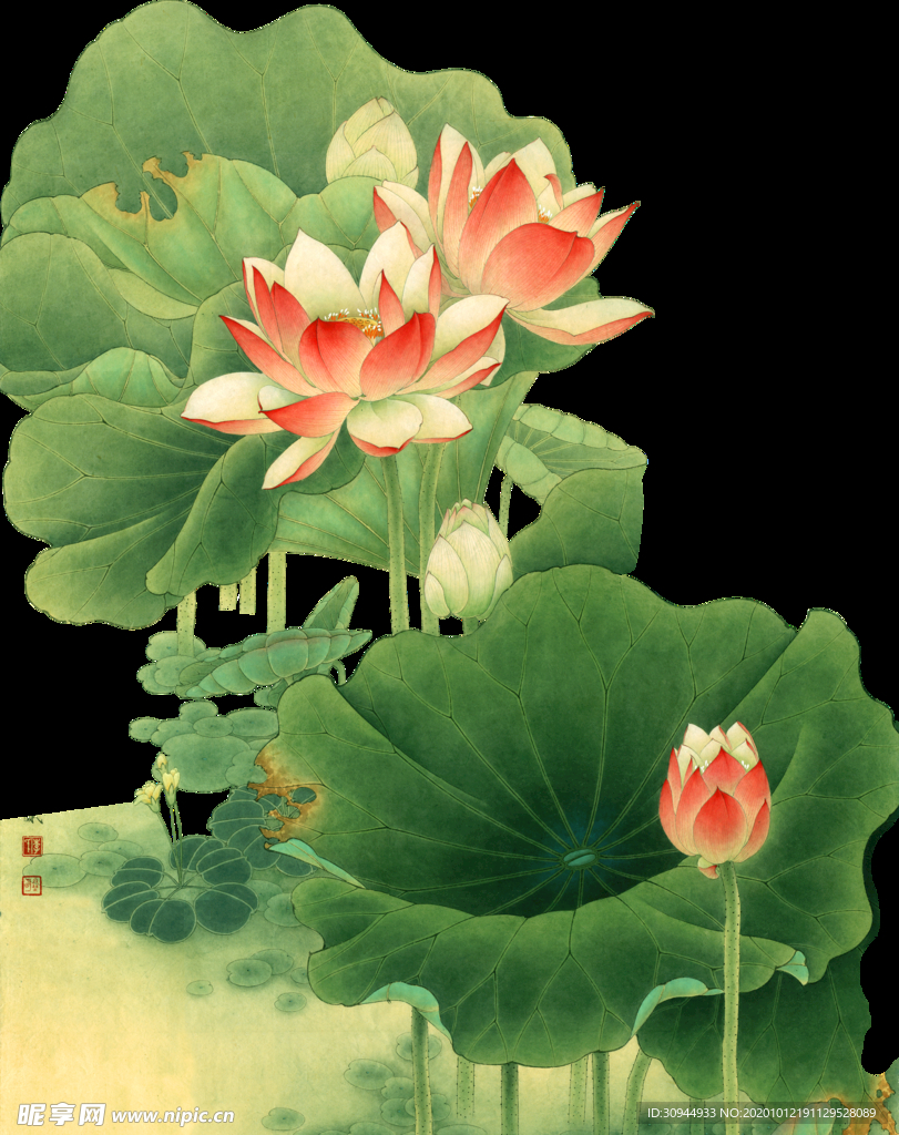 荷花元素