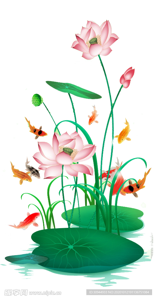 荷花元素