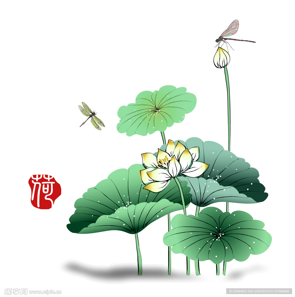 荷花元素