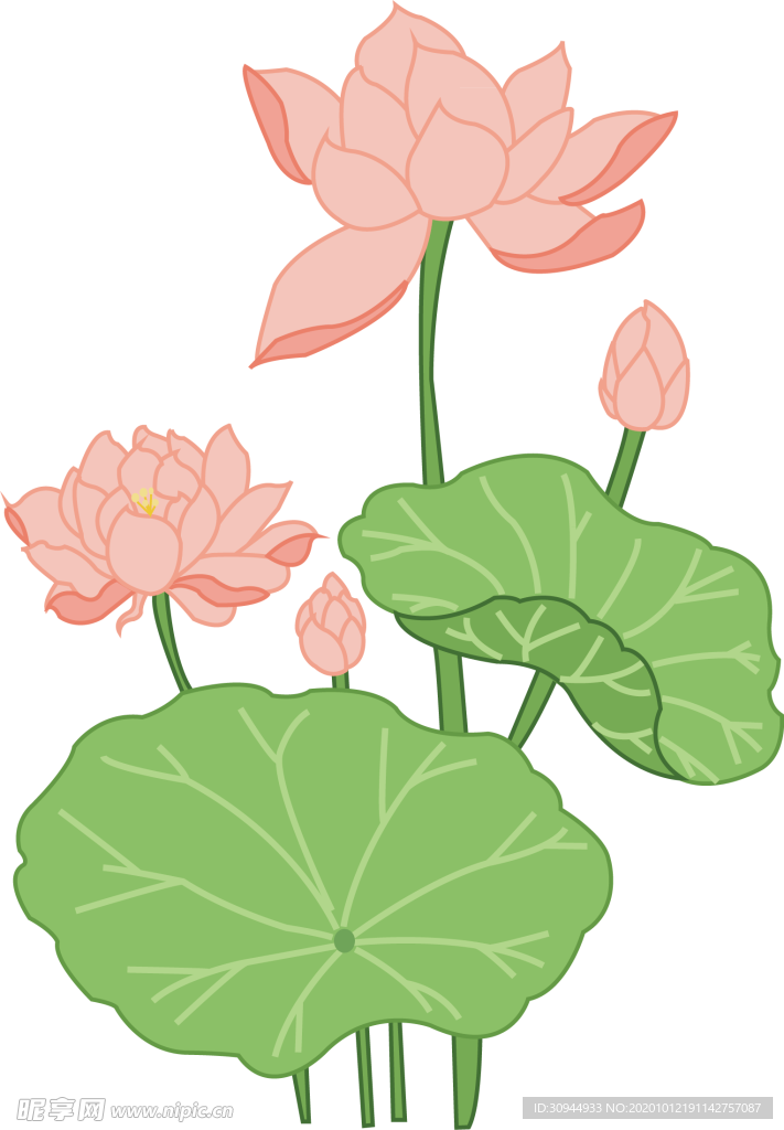 荷花元素