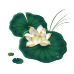 荷花元素
