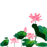 荷花元素