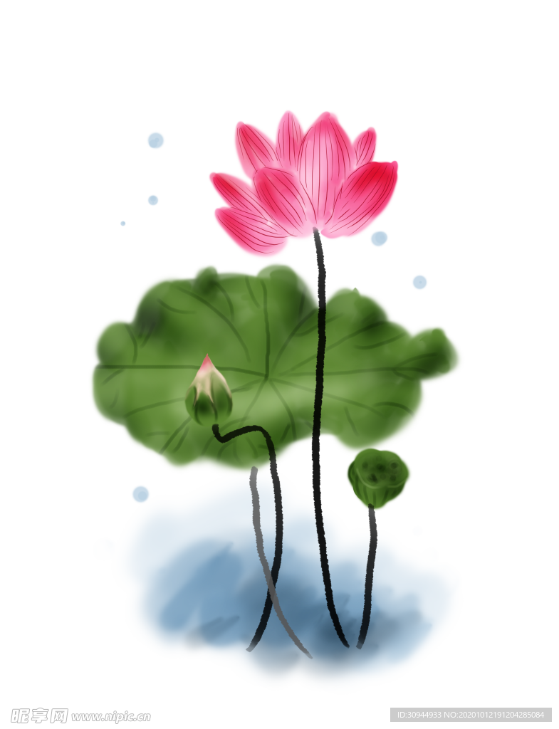 荷花元素