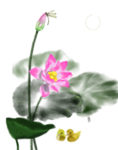 荷花元素