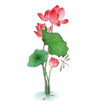荷花元素