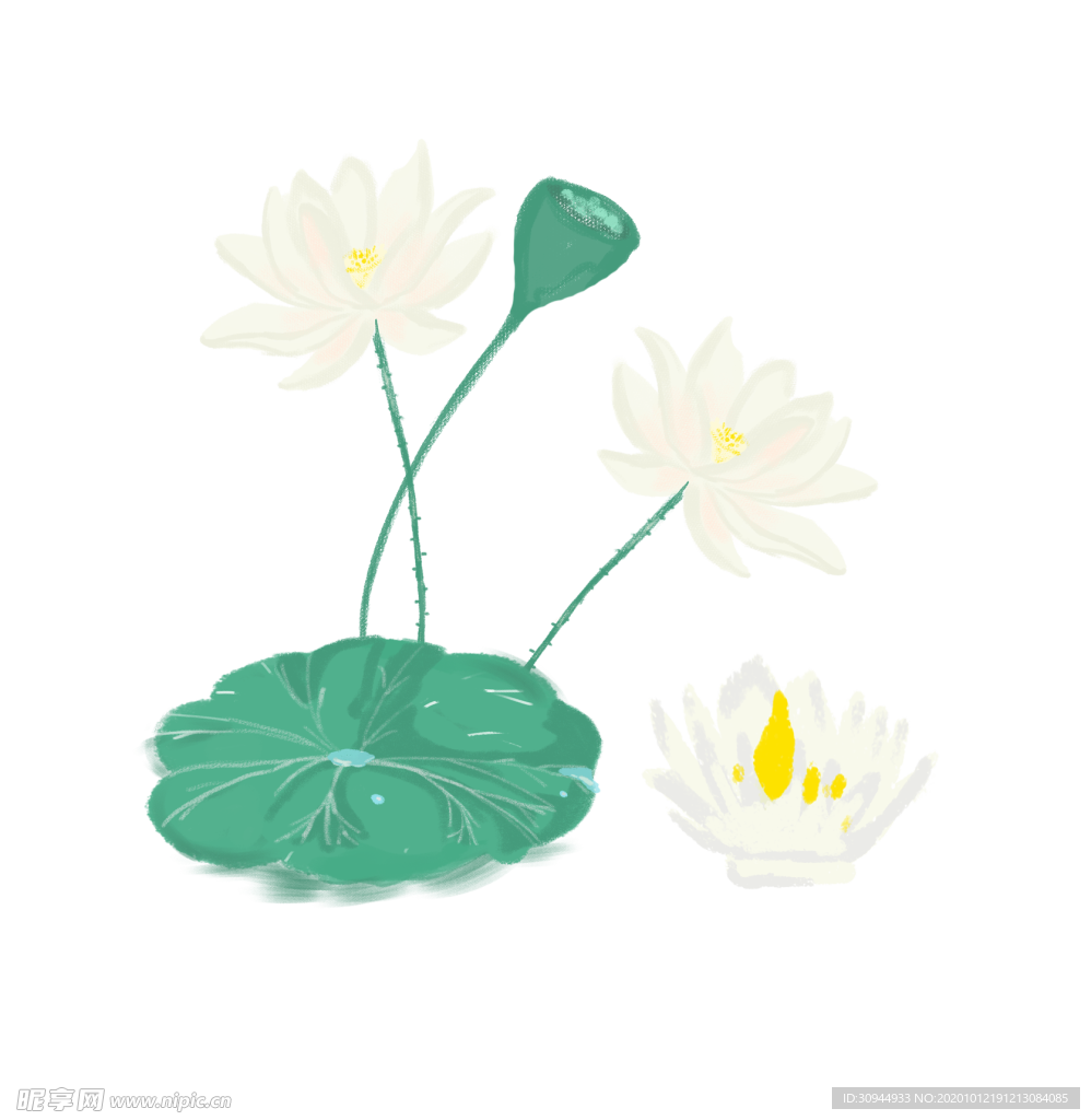 荷花元素